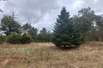 achat maison labouheyre 40210