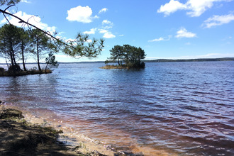 achat maison lacanau 33680