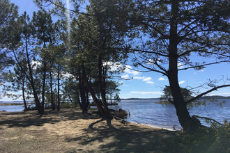 achat maison lacanau 33680