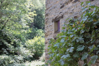 achat maison lacaze 81330