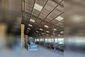 achat maison ladignac-le-long 87500