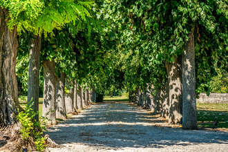 achat maison laferte-sur-aube 52120