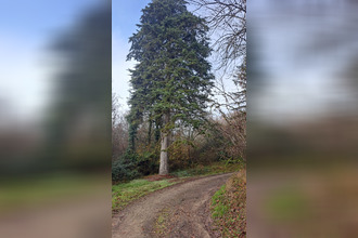 achat maison lafitte 82100