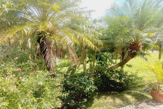 achat maison lamentin 97129