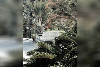 achat maison lamentin 97232