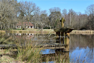 achat maison lamotte-beuvron 41600