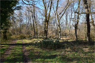 achat maison lamotte-beuvron 41600