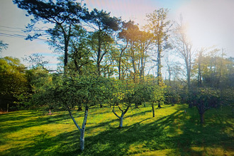 achat maison landaul 56690