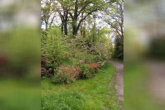 achat maison landevant 56690