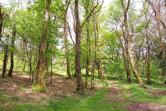 achat maison landevant 56690