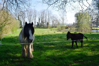 achat maison langoelan 56160