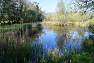 achat maison langoelan 56160