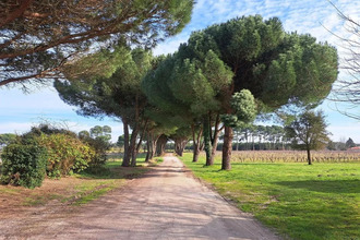 achat maison langon 33210