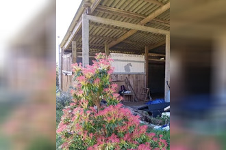achat maison lanneanou 29640