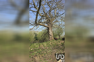 achat maison lannion 22300