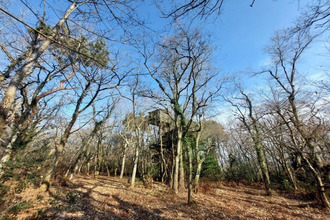 achat maison lannux 32400