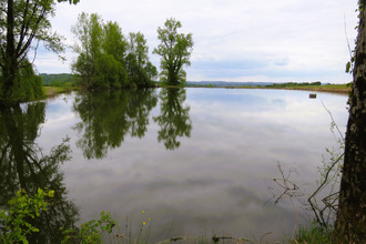 achat maison lanouaille 24270