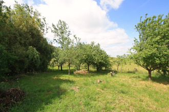 achat maison lapalisse 03120