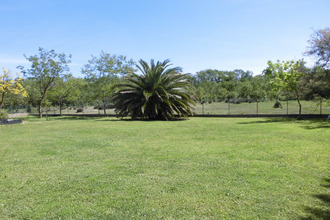 achat maison lattes 34970