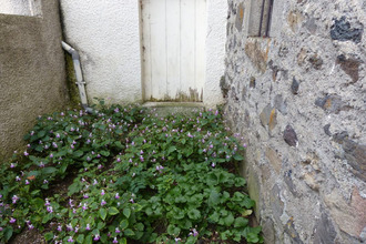achat maison laussonne 43150