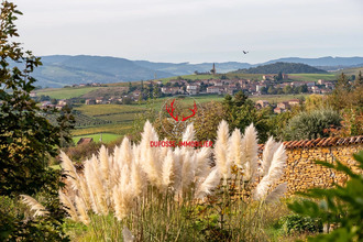 achat maison le-bois-d-oingt 69620