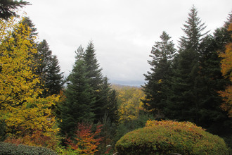 achat maison le-chambon-sur-lignon 43400