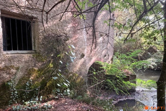achat maison le-champ-st-pere 85540