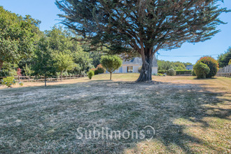 achat maison le-hezo 56450