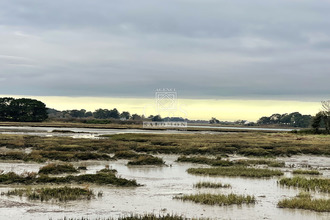 achat maison le-hezo 56450