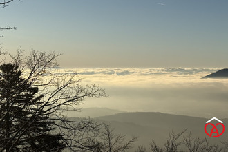 achat maison le-hohwald 67140