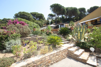 achat maison le-lavandou 83980