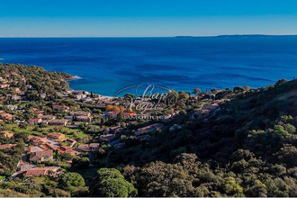 achat maison le-lavandou 83980