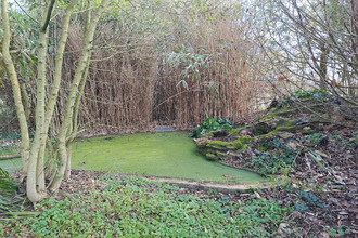 achat maison le-louroux-beconnais 49370