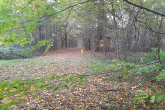 achat maison le-nouvion-en-thierache 02170