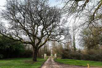 achat maison le-petit-pressigny 37350