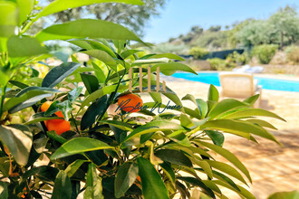 achat maison le-plan-de-la-tour 83120