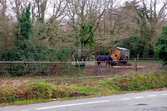 achat maison le-tour-du-parc 56370