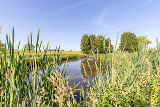 achat maison le-val-de-gueblange 57430