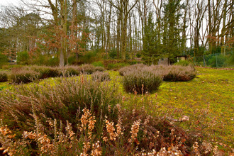 achat maison les-essarts-le-roi 78690