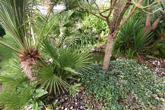 achat maison lesneven 29260