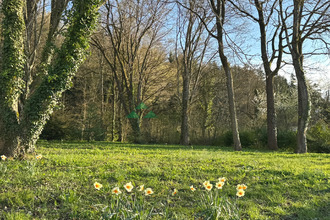 achat maison leymen 68220