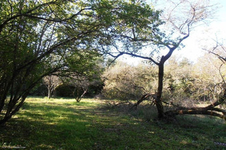 achat maison lezay 79120