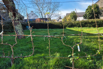 achat maison lignol 56160