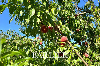 achat maison lingolsheim 67380