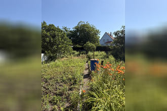 achat maison lingolsheim 67380