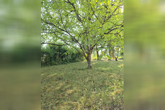 achat maison lisle 24350