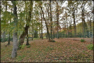 achat maison lombron 72450