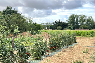 achat maison longeville-sur-mer 85560