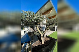 achat maison lons 64140