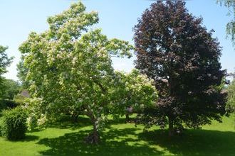 achat maison lons-le-saunier 39000